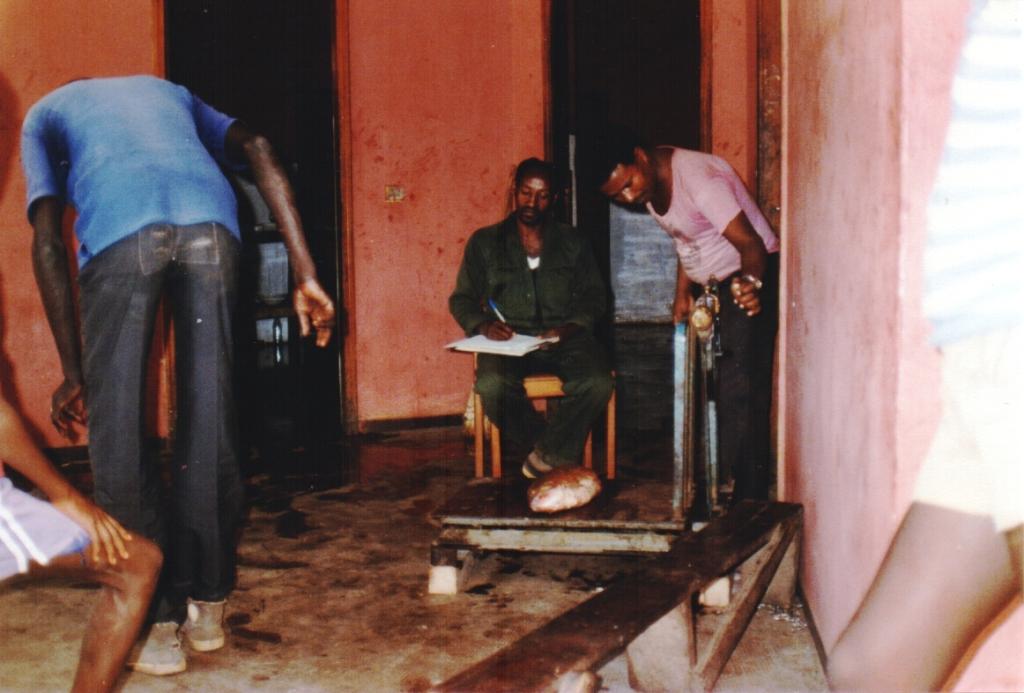 08455 (1984)