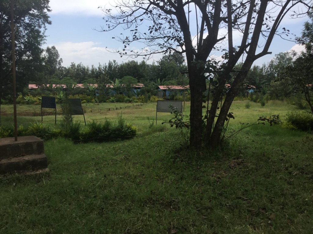 IMG_1343