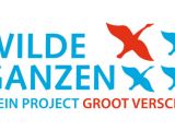 logo-wilde-ganzen-kleur