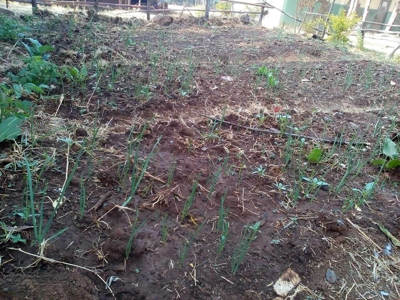 photo_2021-04-06_08-32-34